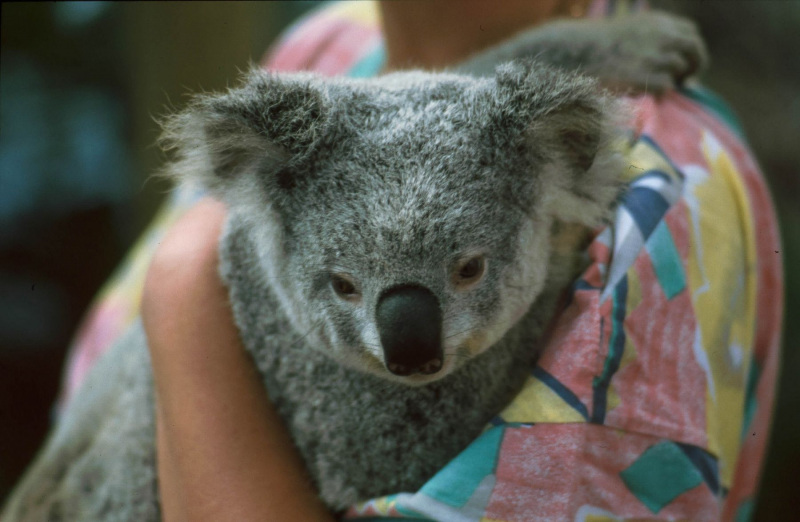 aus0157