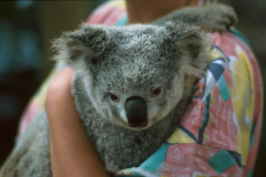 aus0157