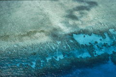 aus0349