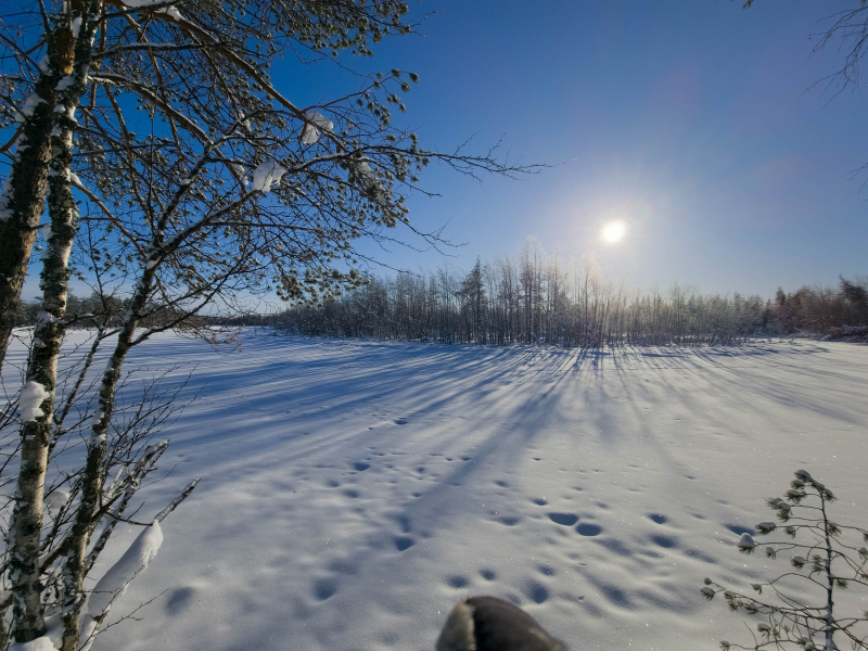 20260223_110523-scaled