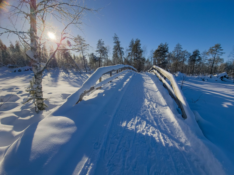 20260223_111242-scaled