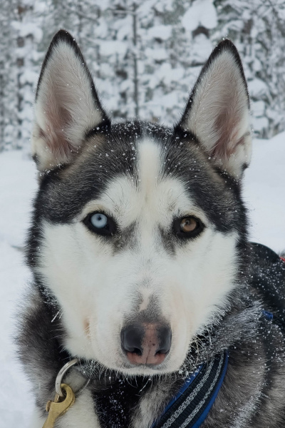 20260226_120024-scaled