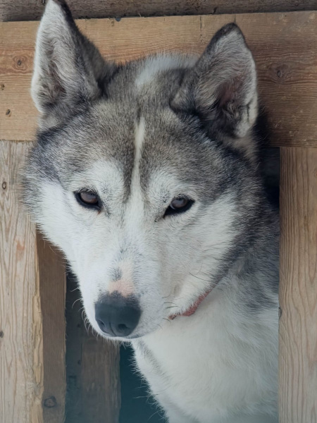 20260228_112402-scaled