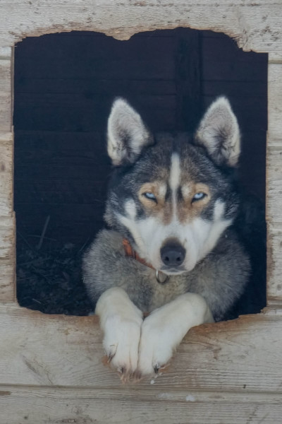 20260228_113751-scaled