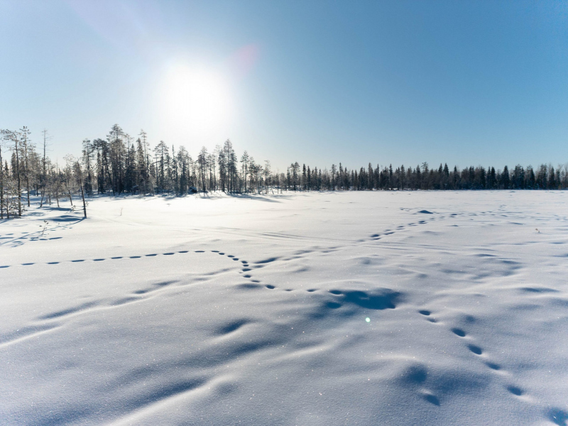 lrm_20260223_103013-scaled