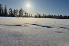 img-20260223-wa0015