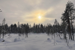img-20260225-wa0021