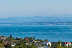 Rhein-11