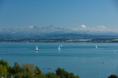 Rhein-12