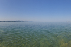 Rhein-15