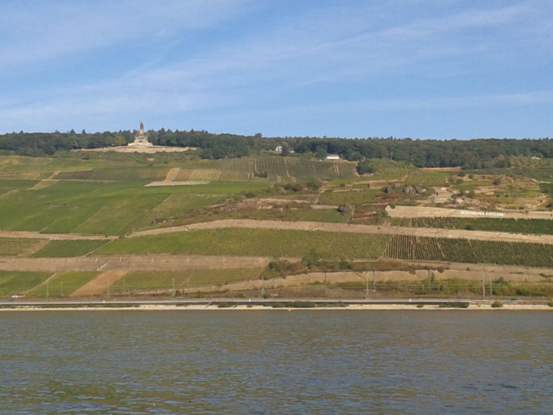 Rhein_x-3