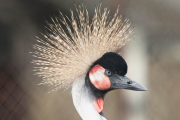 ott_7740-scaled