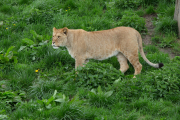 ott_8150-scaled