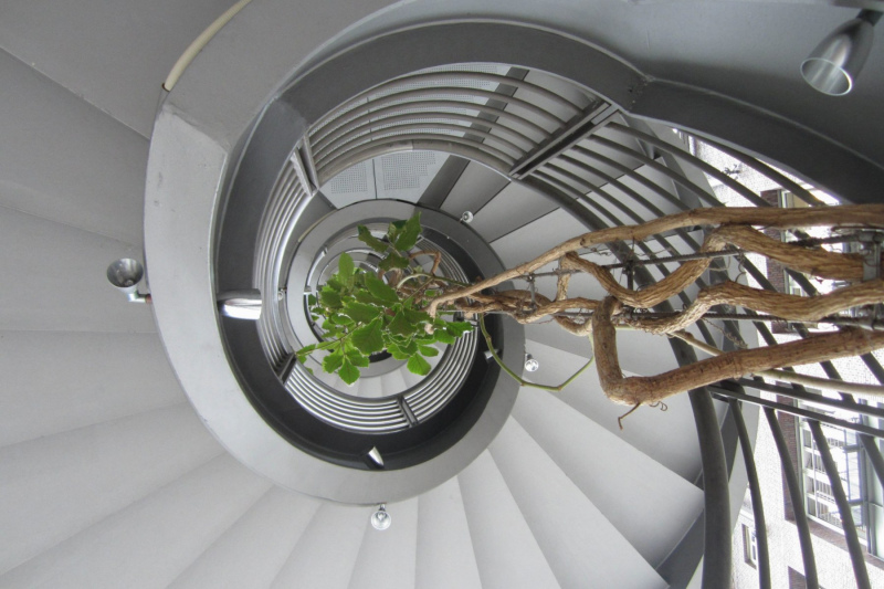 Wendeltreppe in Hamburg