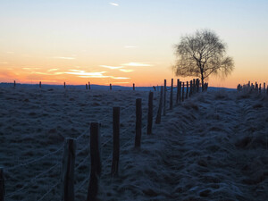 Sonnenuntergang in Werkhausen2